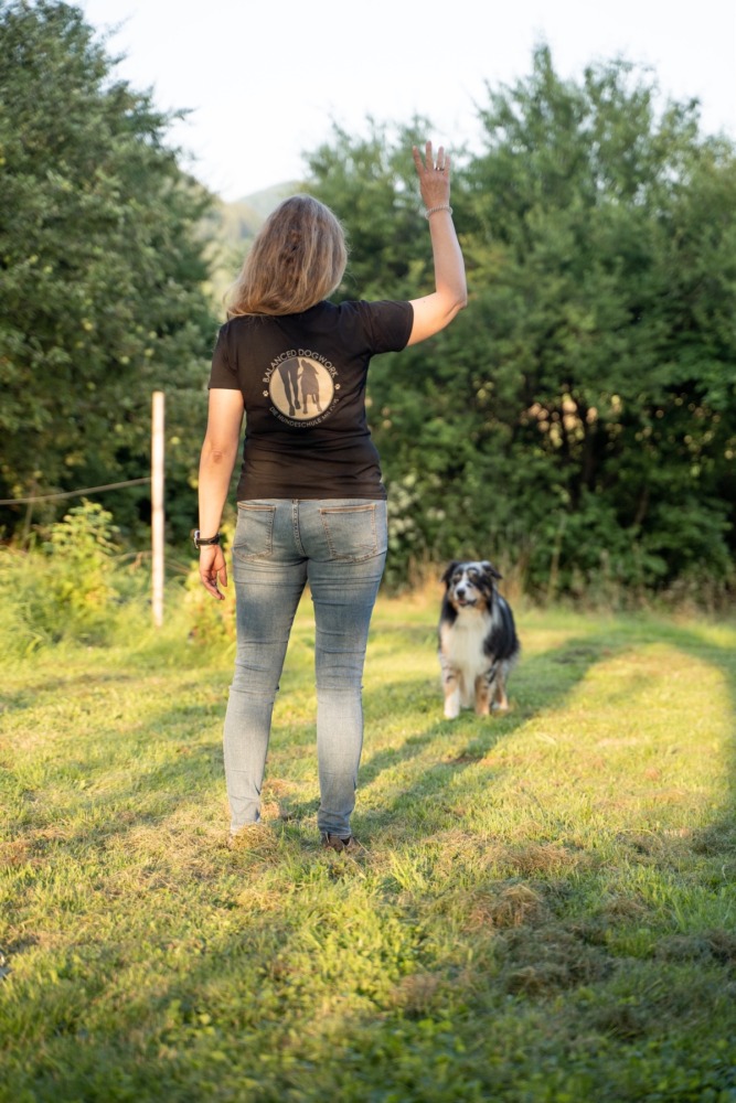 Halterin trainiert mit ihrem Hund das Stopsignal