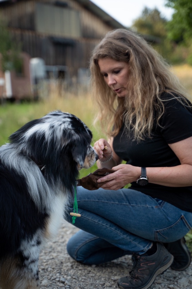 Halterin trainiert den Futterbeutel mit ihrem Hund