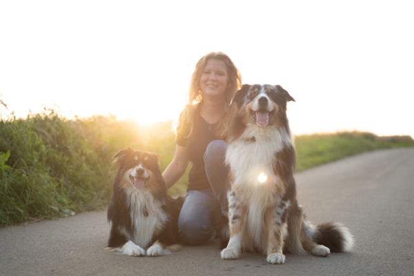 Pfote eines Hundes liegt in der Hand eines Menschen