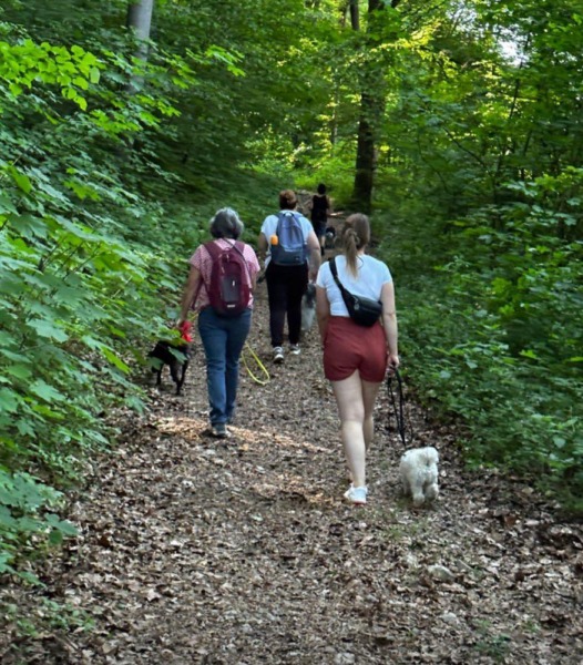 Pfote eines Hundes liegt in der Hand eines Menschen