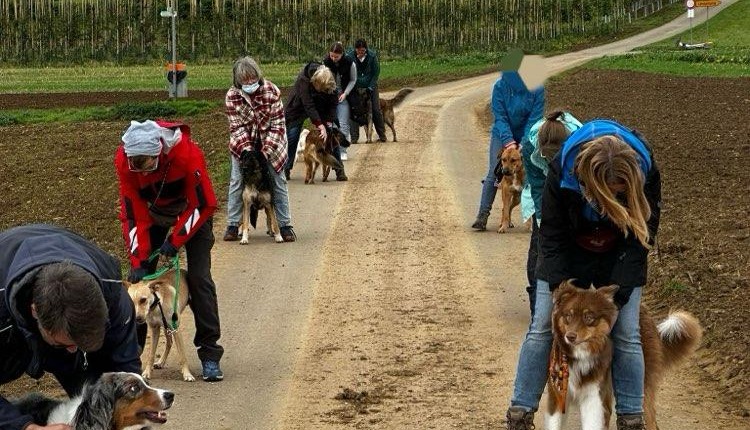 Verbindlichkeit beimSocial Walk/Lernspaziergang. Hund steht zwischen den Füßen des Halters und wird dort festgehalten, Hundetraining Balanced Dogwork in Eningen, Reutlingen