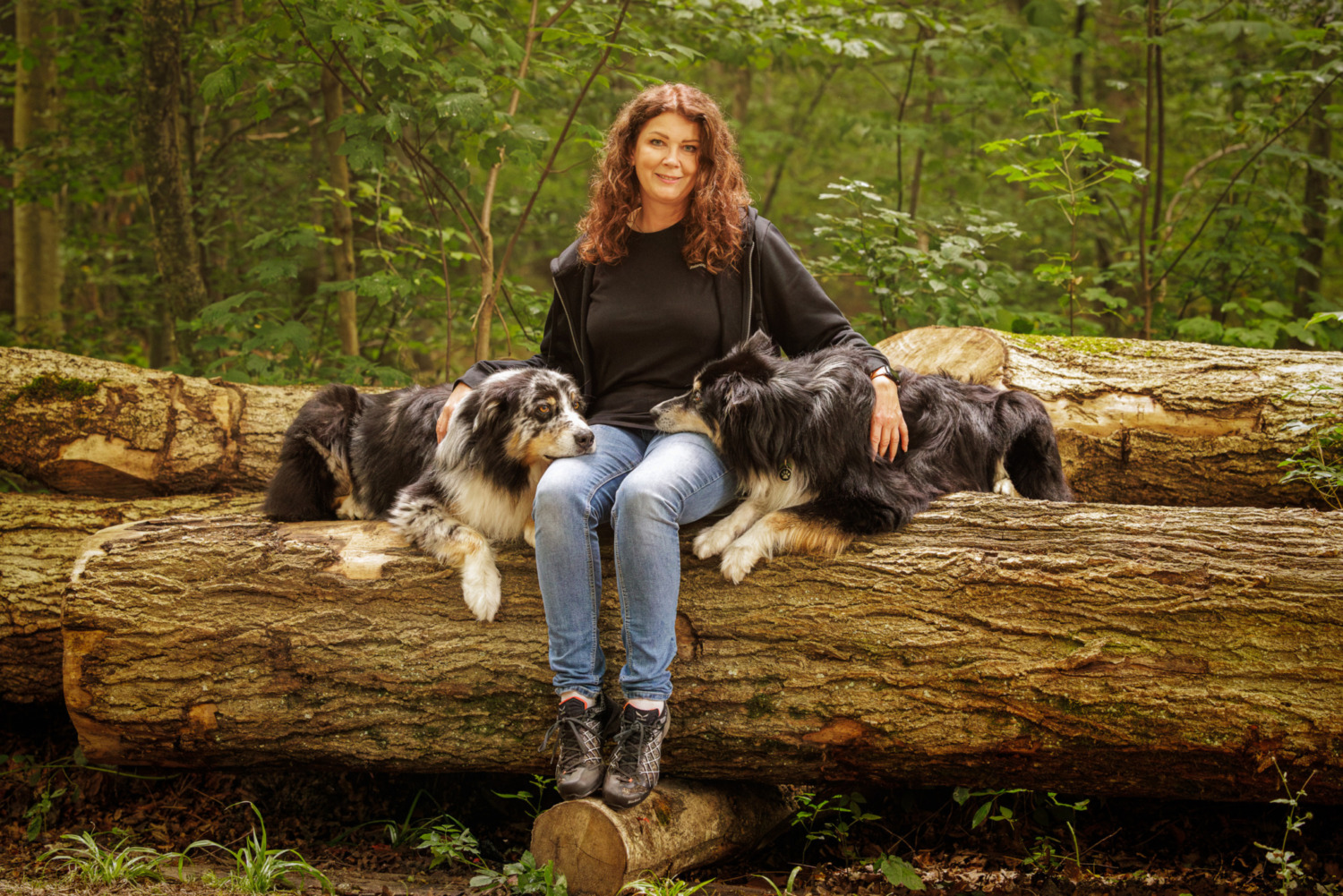 Frau mit langen rotbraunen Haaren sitzt auf einem Baumstamm im Wald, daneben liegen zwei blue-merle Australian Shepherds