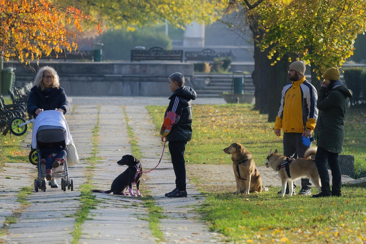 Inhaberin der Hundeschule Balanced Dogwork knieend zwischen ihren beiden Hunden, die links und rechts von ihr auf einem Stuhl liegen